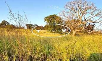 Imagem 4: Fazenda de Oportunidade à Venda em Iporá-GO | 38 Alqueires