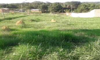 Imagem 7: Vende se ágio terreno 520m2 Residencial aurora das mansões