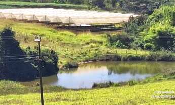 Imagem 6: Área Rural em Alexânia com 3,75 Alqueires, com 02 represas, Galpão, Casa, Curral, Coxo par