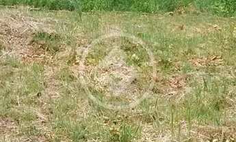 Imagem 7: TERRENO | VENDA| RESIDENCIAL NOVA ESPERANÇA | 450M²