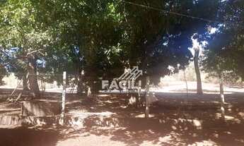 Imagem 7: Vende-se Chácara de 50 Mil m² em Luzimangues