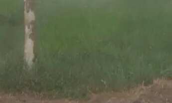 Imagem 2: Terreno rural em itaguara