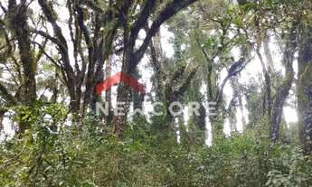 Imagem: Lote em Rua Arcenio Schimitt - Salto Eletra