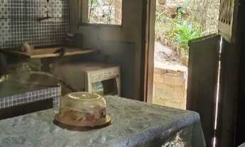 Imagem 3: Sítio Chácara com venda por R$300.000