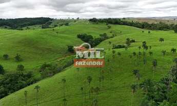 Imagem 2: Fazenda 191 alqueires ( 924 hectares) ipameri -GO