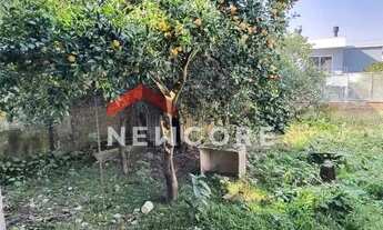 Imagem: Casa em Rua Marista - Vila João Pessoa