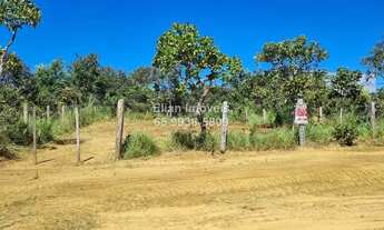Imagem 2: Excelente terreno com pés de pequis produzindo a venda no bairro Flor