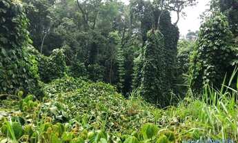 Imagem 6: TERRENO EM CONDOMÍNIO - ARUJAZINHO 1, 2, 3 - SP