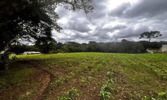 Imagem 5: Terreno para Venda em São José dos Pinhais, Jurema