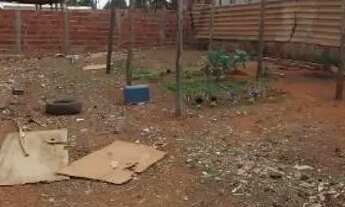 Imagem: 26 de setembro COMERCIAL