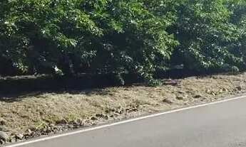 Imagem 7: Sítio / Chácara para Venda em Nova Petrópolis, São José do Caí