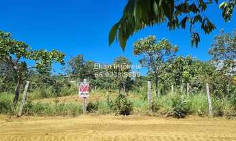 Imagem 3: Excelente terreno com pés de pequis produzindo a venda no bairro Flor