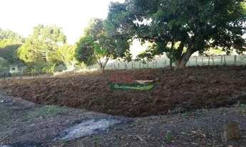 Imagem 4: Sítio com 2 dormitórios à venda, 16384 m² por R$ 1.050.000,00 - Bom Retiro - São José dos