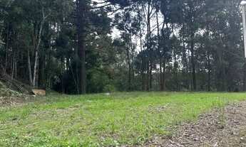 Imagem 5: Terreno - Bairro Pórtico