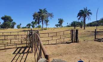 Imagem 3: Fazenda à Venda em Aruanã - GO | 100 Alqueires