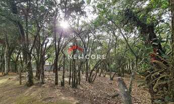 Imagem 6: Lote em condomínio em Rua Janina - Vila de São Fernando - Cotia/SP