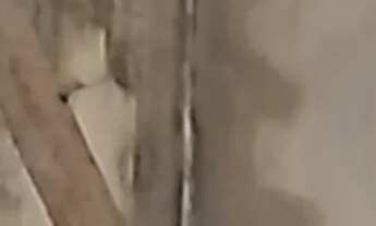 Imagem 7: Moura Gestor Imobiliario Vende com Exclusividade um Galpão em Icoaraci, Belem, Pará