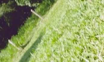 Imagem 2: Chacara em cezarina - 1.17 alquires