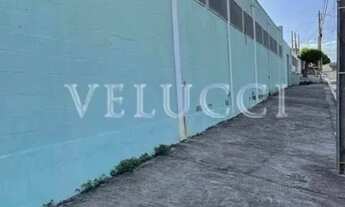 Imagem: GALPÃO em Campinas - SP, Jardim Planalto