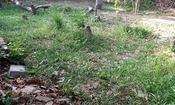 Imagem 2: Vendo casa no vila funil