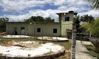 Imagem 7: Vendo pesque pague em Itaporanga DJuda