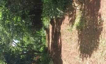 Imagem 7: Vende-se área em chapada dos guimarães , 19 ha