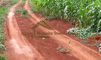 Imagem 2: Sitio com 2 alqueires em Cesário Lange-SP