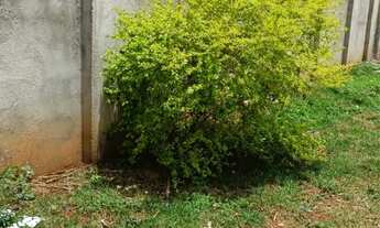 Imagem 2: Chacara no pontakayana trindade