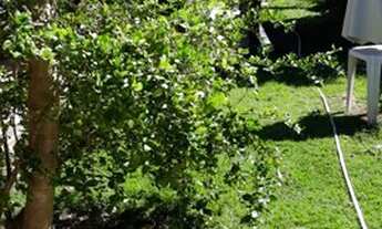 Imagem 4: Aluguel Temporada- Casa - Condomínio - Barra Grande (Ilha de Vera Cruz