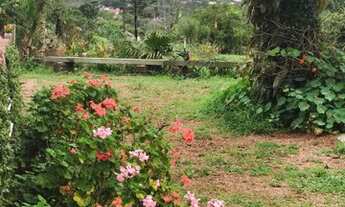 Imagem 4: Sítio maravilhoso em P A/RS, com 15.000mq por 1.500.000,00