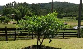 Imagem 3: Chácara para Venda em Centro Triunfo-RS - 1936