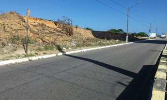 Imagem 6: Terreno na Maria Lacerda 22.000 m2