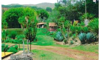 Imagem 2: Chácara 12ha - Santo Antônio do Leite