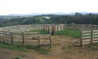Imagem 7: FAZENDA com 1 dormitório à venda com 761574m² por R$ 10.000.000,00 no bairro Centro - BOCA