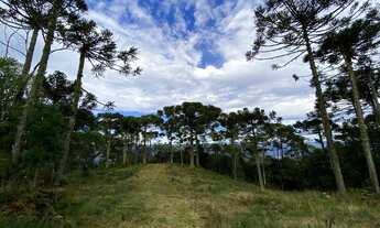 Imagem 6: Fazenda/Sítio/Chácara para venda tem 20000 metros quadrados/Rio dos Bugres - Urubici - SC
