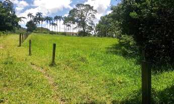 Imagem 5: Fazenda para venda com 25,5 alqueires Corumbá de Goiás- Go