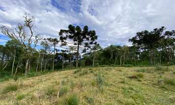 Imagem 2: Fazenda/Sítio/Chácara para venda tem 20000 metros quadrados/Rio dos Bugres - Urubici - SC