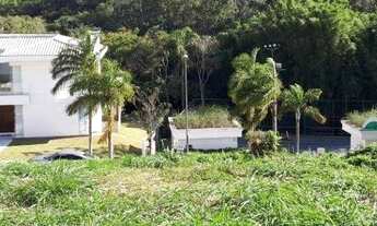 Imagem 3: Terreno à venda, 982 m² por R$ 1.500.000,00 - Córrego Grande - Florianópolis/SC