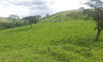 Imagem 4: Fazenda à venda, 900000 m² - 6km São Roque de Minas - Minas Gerais - por R$ 2.500.000