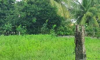 Imagem 5: Fazenda/Sítio/Chácara para venda possui 25000 metros quadrados com 5 quartos