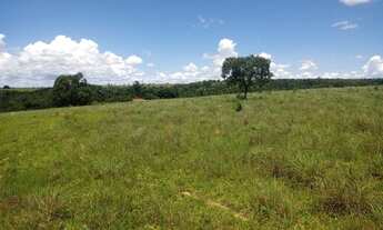 Imagem 4: Fazenda para venda com 25,5 alqueires Corumbá de Goiás- Go