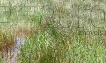 Imagem 5: Fazenda à venda, 270 Hectares por R$ 3.500.000 - Região de Mamanguape-PB