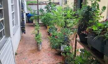 Imagem 5: Casa á venda térrea com terreno de 446 m2