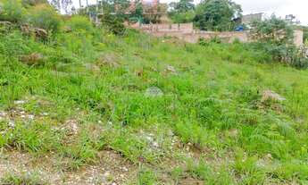 Imagem 11: Terreno em declive, na Colônia Antônio Prado - Almirante Tamandaré, PR