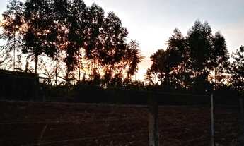 Imagem 3: Fazenda/Sítio/Chácara para venda possui 25000 metros quadrados em Setor Central - Guapó