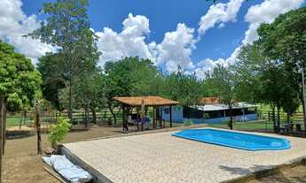 Imagem: Fazenda/Sítio/Chácara para venda com 68.000