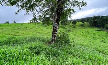 Imagem 6: Fazenda de 33 alqueires em Ivolândia - Goiás