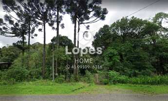 Imagem: Área de terra a venda em Campo Largo, 6