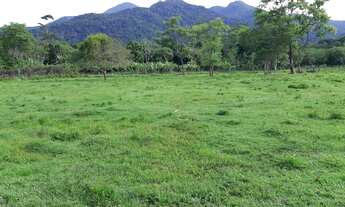 Imagem 6: Ótimo Sítio 74 Mil Metros2 - Escriturado - 900Mil - Ana Dias