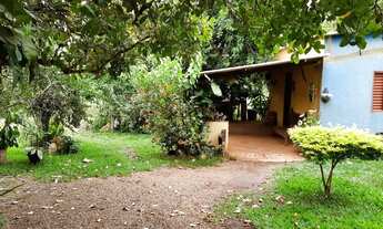 Imagem 5: Vende se Casa com 5 dormitórios